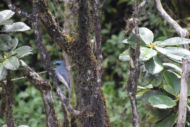 Horton Plains National Park Hike From Nuwara Eliya - Location