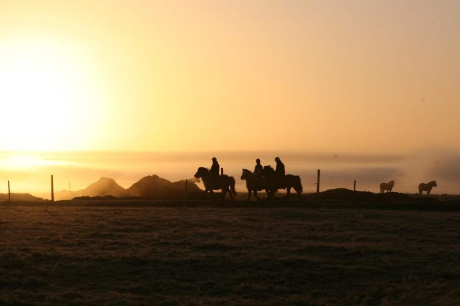 Hveragerdi: The Siggi Horse Riding Tour - Tour Overview