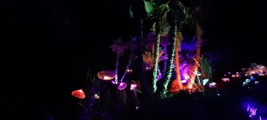 IBIZA: Astro Magic Lights at Bibo Park