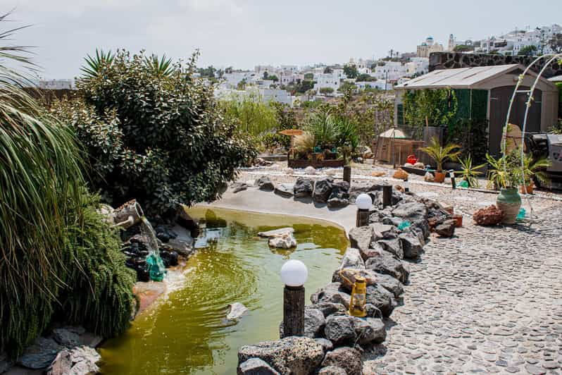 Interactive Private Tour With Wine Tasting,Cooking,Crafting - Tour Overview and Details