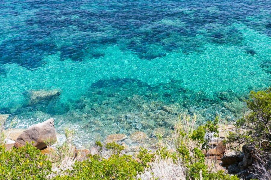 Isola Del Giglio: Boat Round Trip With Snorkeling