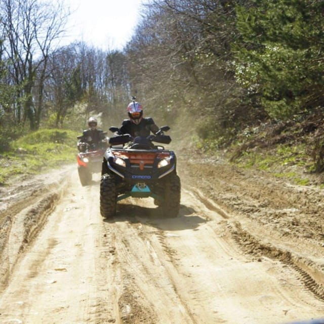 Istanbul: Best of Quad Safari Bike in 60 Minutes - Activity Overview