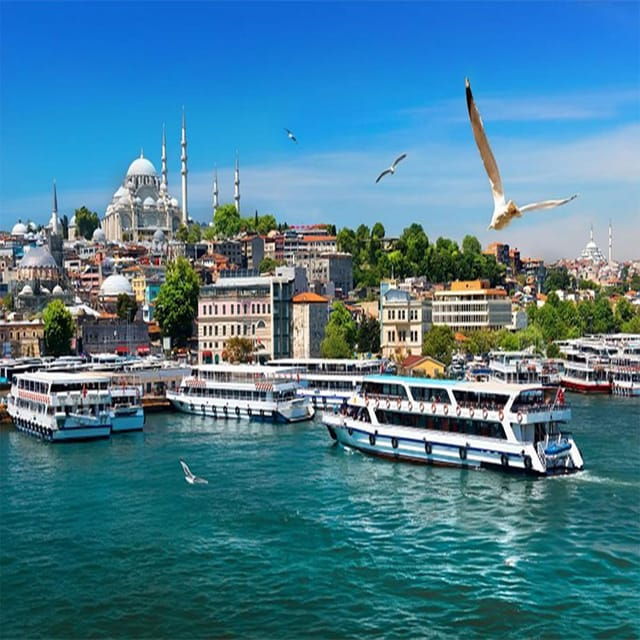 Istanbul Bosphorus Morning Cruise Guided Tour
