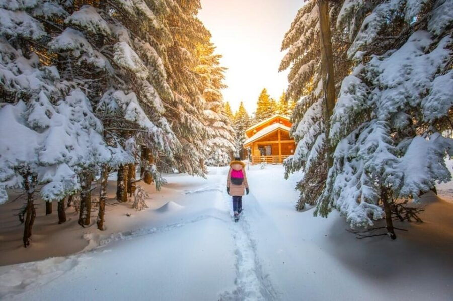 Istanbul: Busra & Mount Olympus Guided Tour With Cable Car