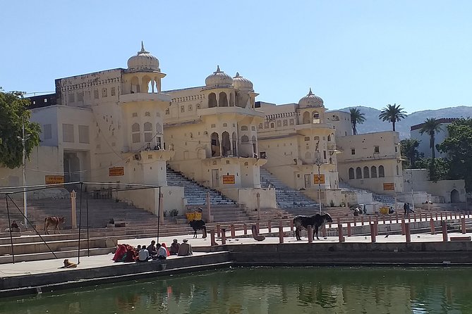 Jaipur Pushkar Day Trip by Car - Tour Overview