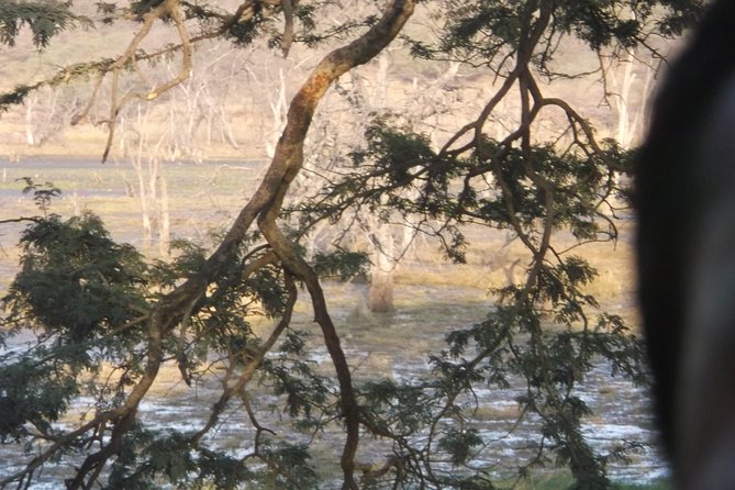 Jhalana Safari Park Leopard- One Jungle Jeep Safari And One Night Stay In Hotel - Package Inclusions and Exclusions