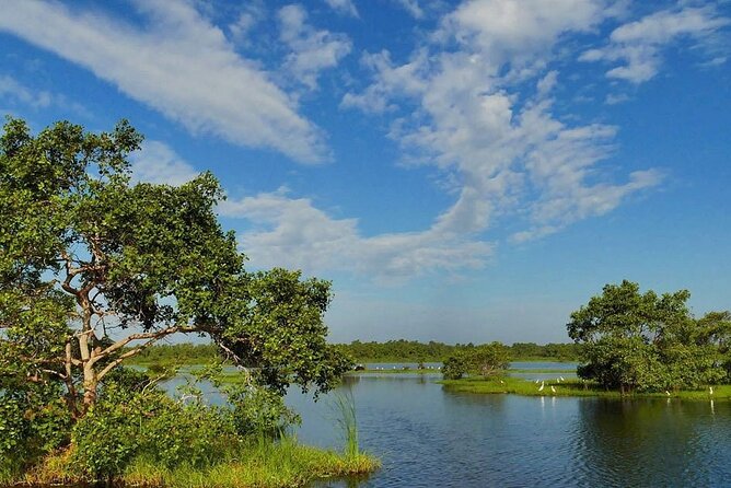 Kalametiya Bird Sanctuary Catamaran Bird Watching Tour - Tour Overview