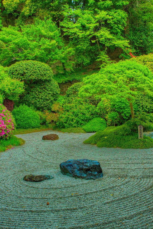 Kamakura & Yokohama One Day Private Trip With English Driver - Trip Overview