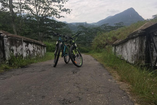 Kandy Mountain Bike Ride Through the Jungle to Cobbetts Gap