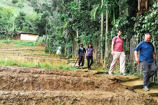 Kandy Village Walk With a Local - Local Experiences in Kandy