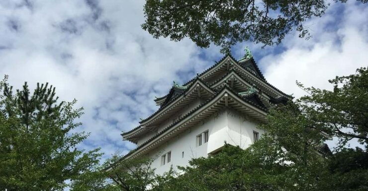 Kansai 10-Hour Chartered Day Trip|Wakayama City - Vehicle and Driver Details