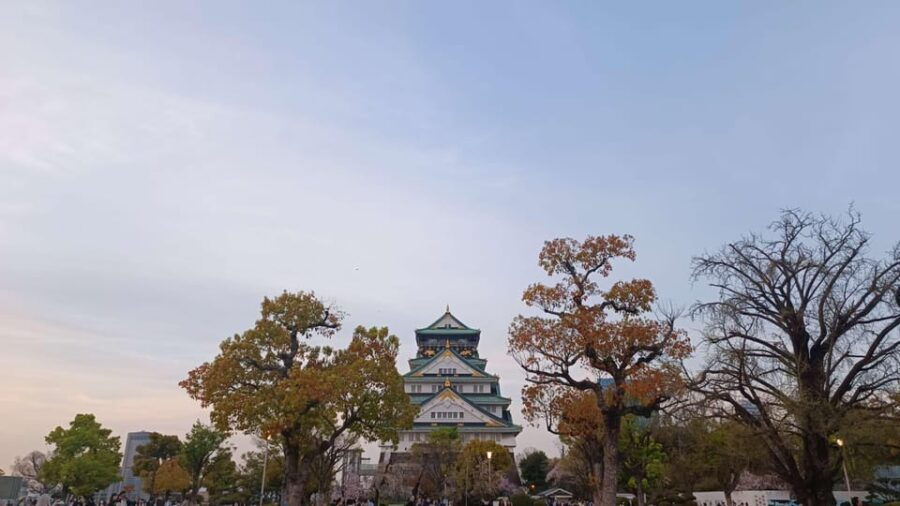 KANSAI Airport Transfer - Service Overview