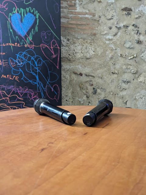 Karaoke in the City Center of Chartres for 2-6 People - Private Room Features