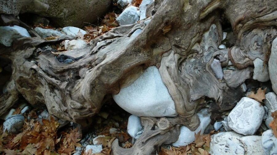 Kardamili : Hiking in Ridomo Gorge - Overview of Ridomo Gorge