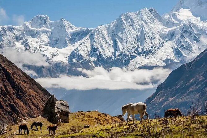 Kathmandu Private Tour 14 Day Manaslu Circuit Trek - Itinerary Details