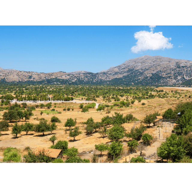 KNOSSOS & LASITHI: GUIDED TOUR IN KNOSSOS PALACE & ZEUS CAVE - Tour Overview and Pricing