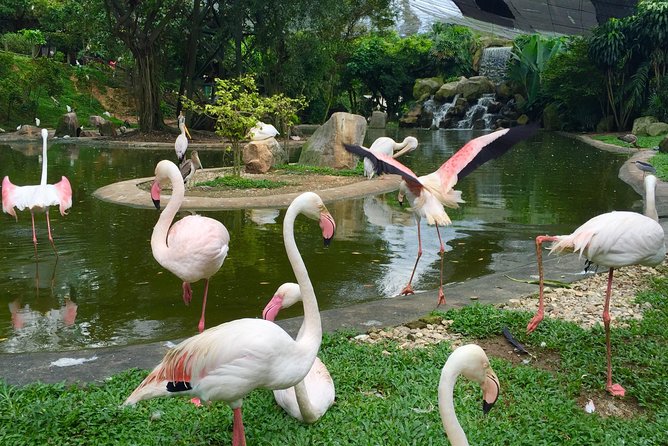 Kuala Lumpur City Famous Landmarks With Bird Park Admission