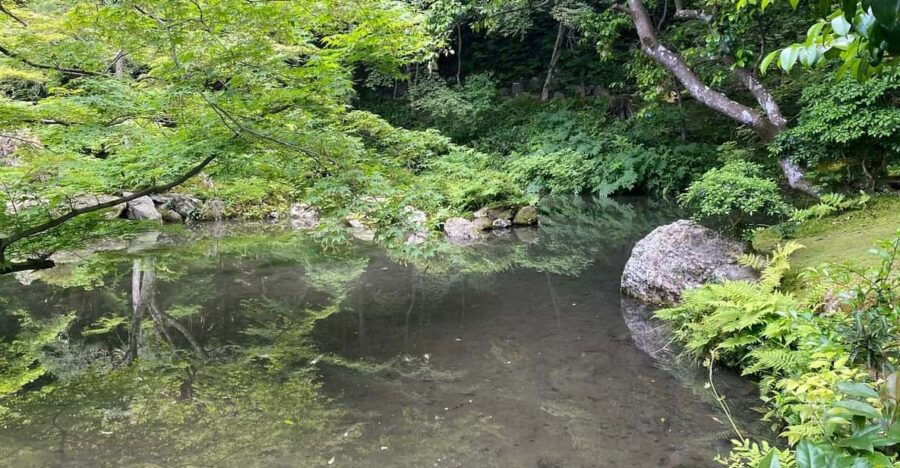 Kyoto: Garden Tour and Mini Garden Making Experience - Overview of the Experience