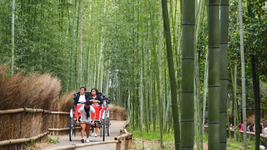 Kyoto: Nara or Osaka Private Customized English Guided Trip