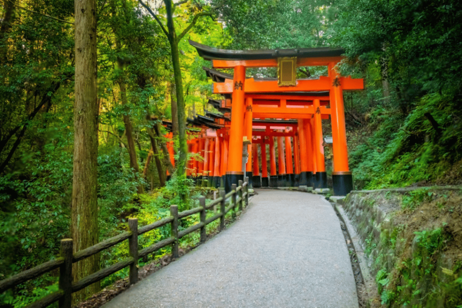 Kyoto Private Group Tour From Osaka/Nara - Tour Overview