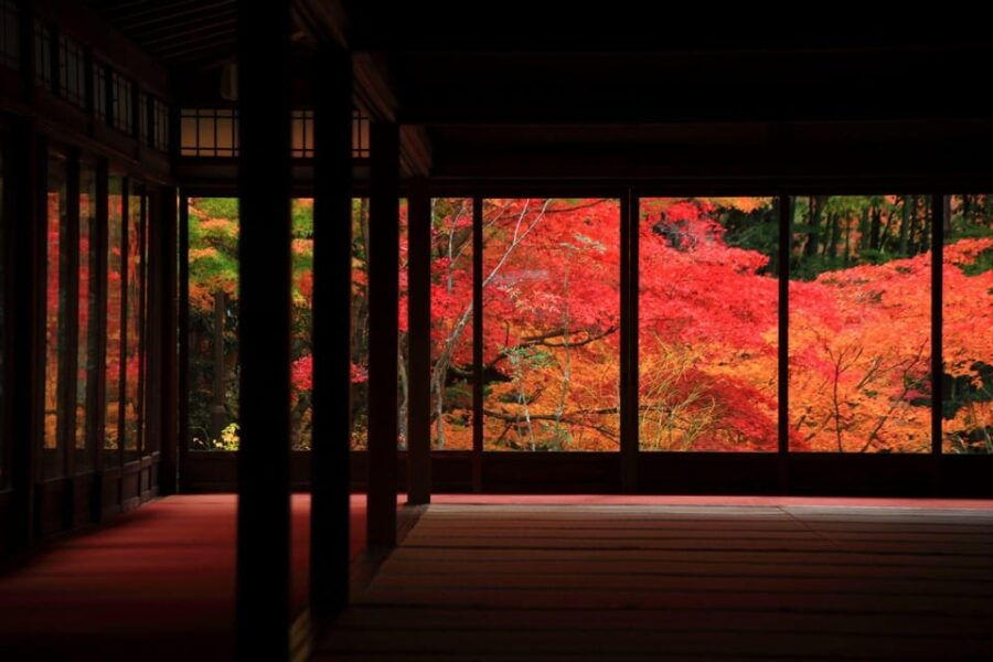 Kyoto Top Highlights Full-Day Trip From Osaka