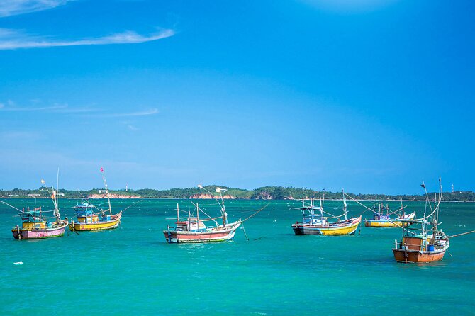 Lagoon Fishing in Negombo - Inclusions and Exclusions