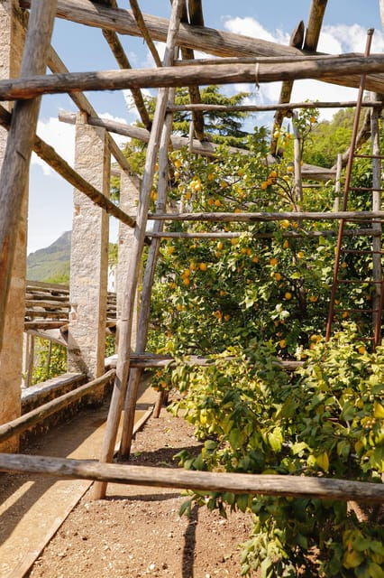 Lake Cruise (visit Torri & Gargnano) - Overview of the Lake Cruise