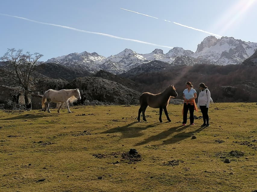 Lakes of Covadonga: Mountain Route for All Audiences