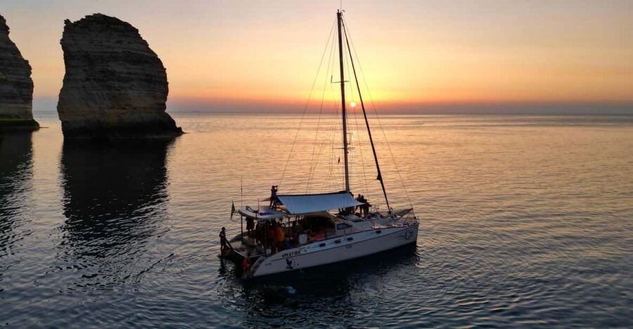 Lampedusa: Dolphin Watching With Aperitif at Sunset - Overview of the Experience