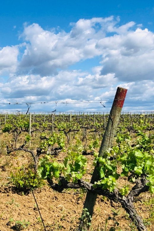 Land Rover Cork Safari Experience Pack - Activity Overview