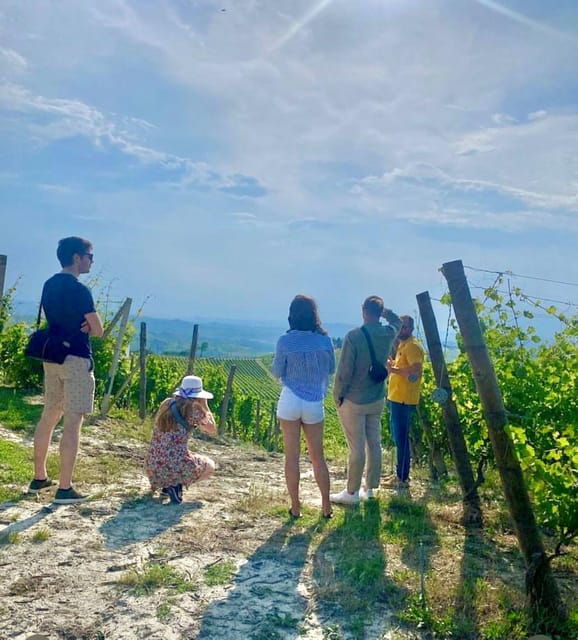 Langhe Wine Tour With a Winemaker