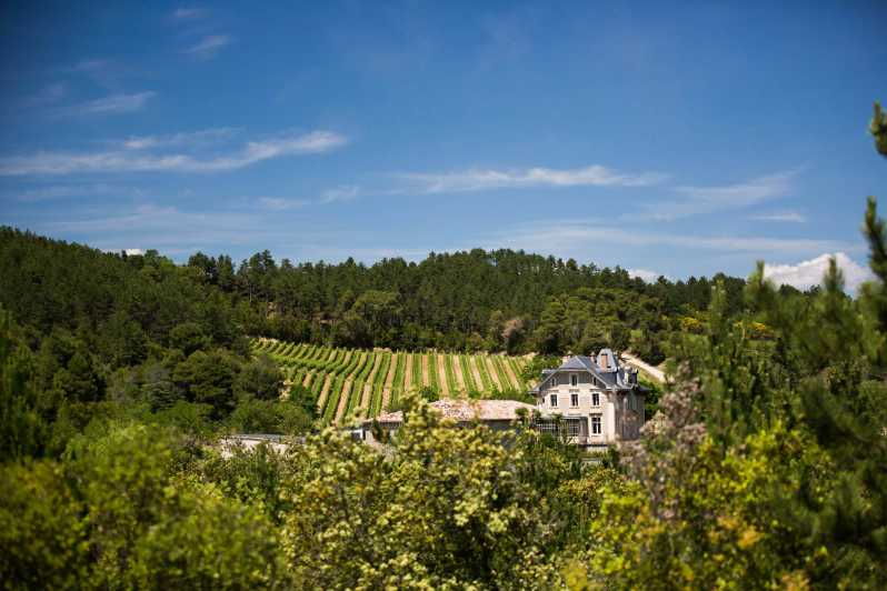 Languedoc: Heritage Tour & Tasting at Domaine De Baronarques - Overview of the Experience