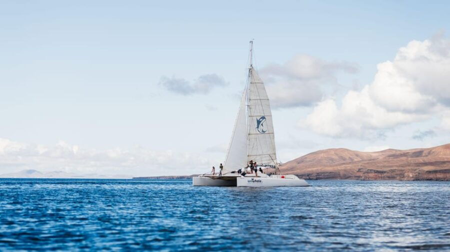 Lanzarote Sunset Experience With Dolphin Spotting - Tour Overview and Pricing