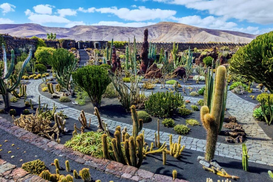 Lanzarote: The Cactus Garden Entry Ticket - Ticket Details and Pricing