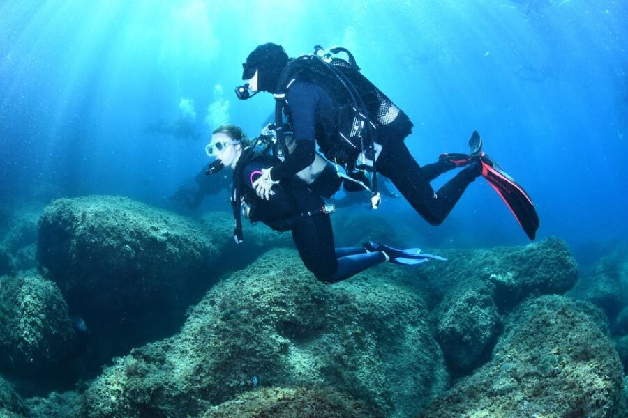 Lestartit: Try Dive in a National Park With Us!