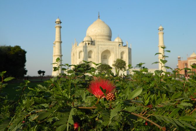 LGBT Friendly Delhi Agra Jaipur Tour