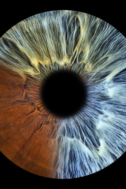 Lisbon - Creation of Necklaces From Your Iris - Activity Overview