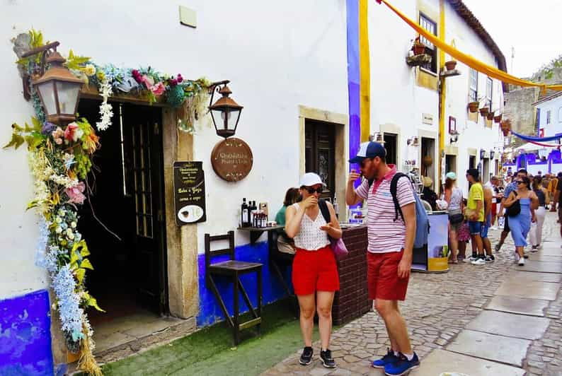 Lisbon: Transfer to Porto With Stops in Óbidos-Nazaré-Aveiro - Comfortable Vehicles for the Journey