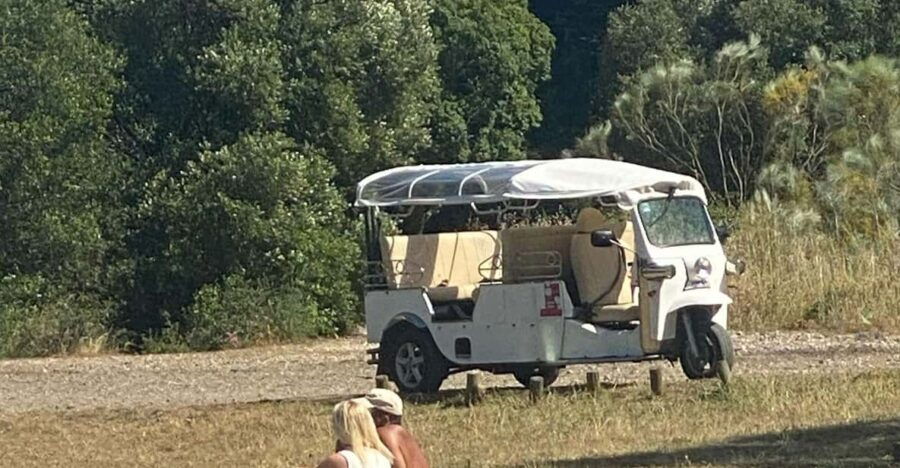 Lisbon: Tuk Tuk Tour With Wine and Tapas Tasting