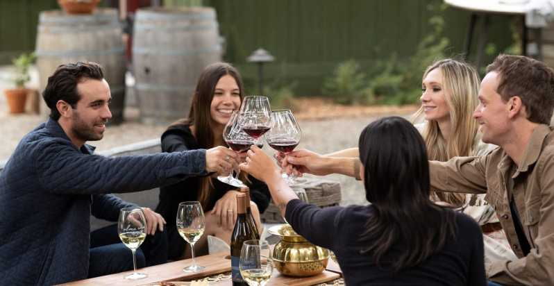 Loire Castle Wine Tasting Tour