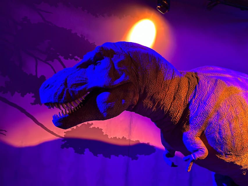 London: Natural History Museum Private Guided Tour