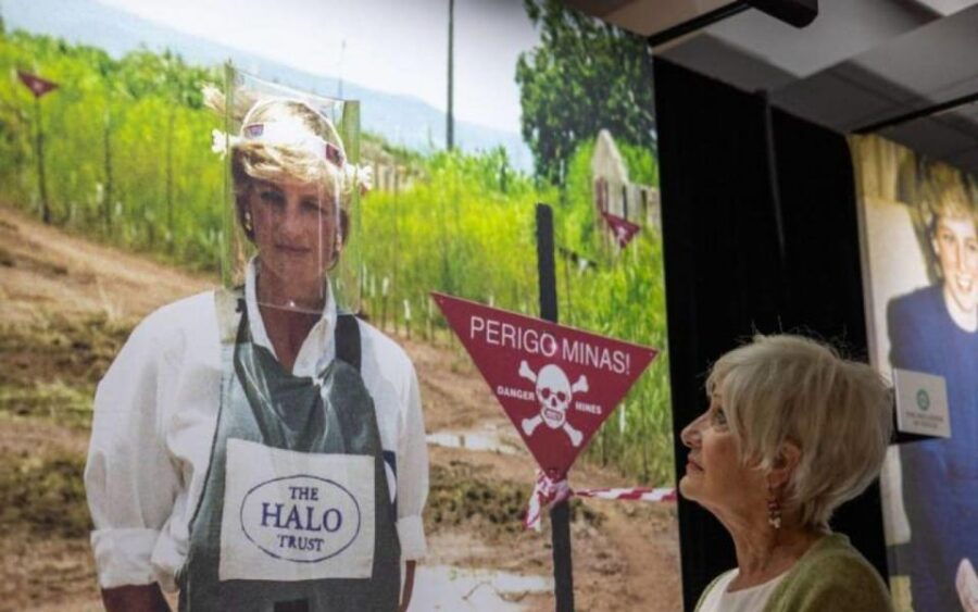 London: Princess Diana Exhibition & Westminster Walking Tour - Tour Overview and Pricing