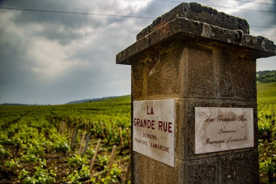 Luxury Burgundy Private Wine Tour