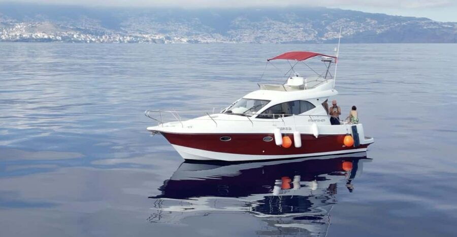 Madeira: Boat Trip