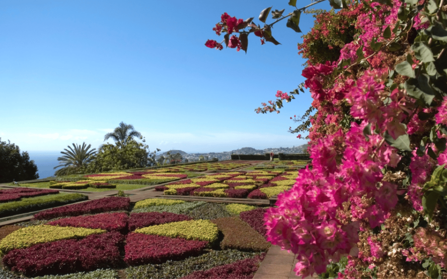 Madeira: Classic Tuk Tour With Wine Tasting - Tour Overview