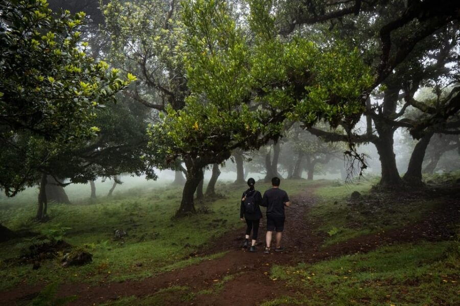 Madeira : Full Day Adult-Only West 4x4 Tour - Tour Overview and Details