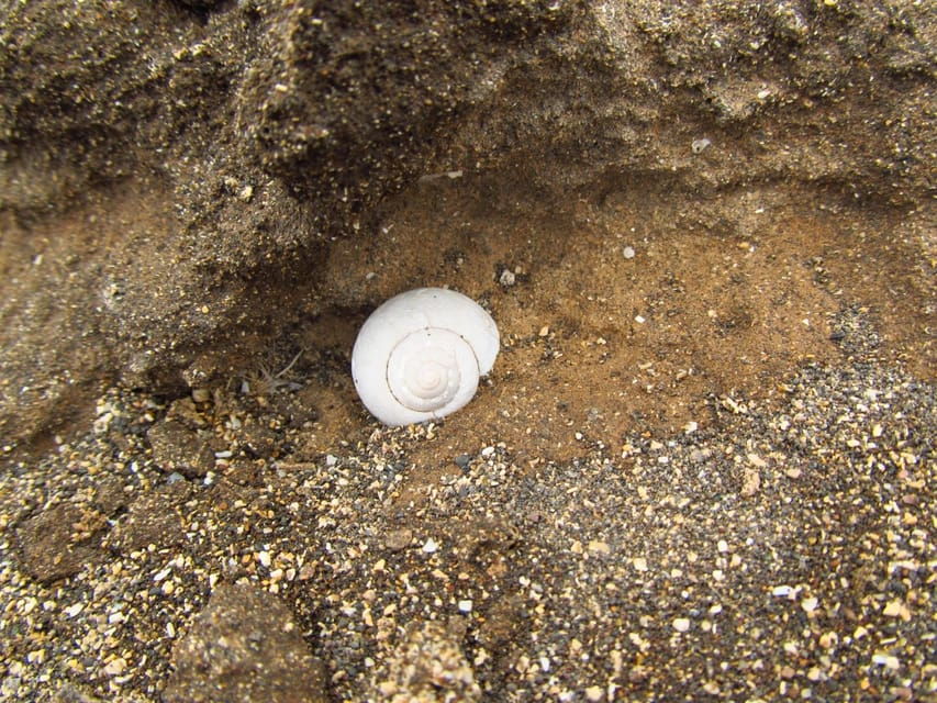Madeira: Geology The Origins Tour