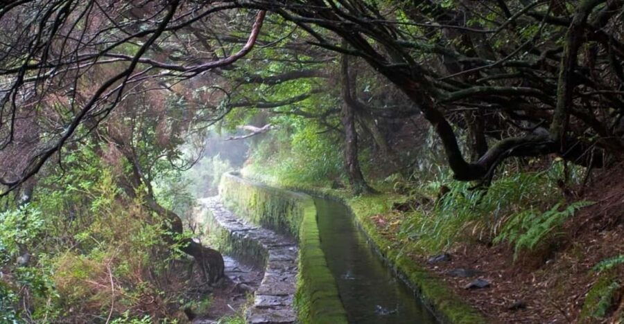 MADEIRA ISLAND WALK – 25 FOUNTAINS LEVADA