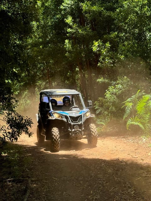 Madeira: Laurissilva Buggy Adventure