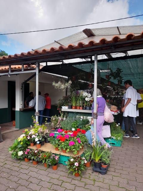 Madeira: Sunday Market in Santo Da Serra - Activity Overview